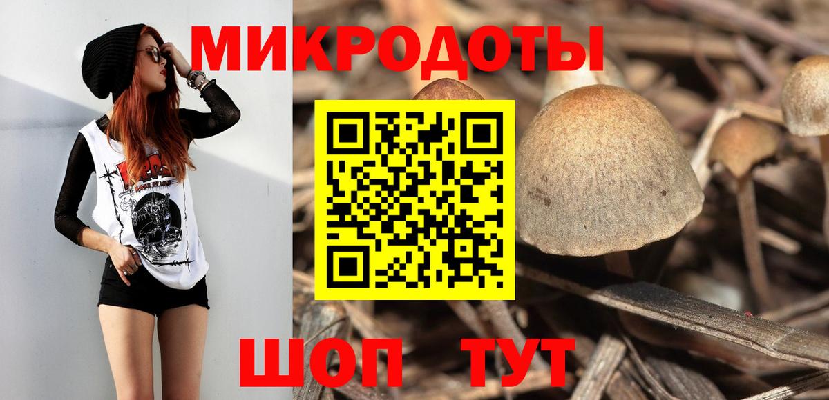 Псилоцибиновые грибы Cubensis Печора