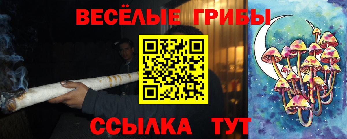 Псилоцибиновые грибы мицелий  Печора  хочу   Галлюциногенные грибы GOLDEN TEACHER 